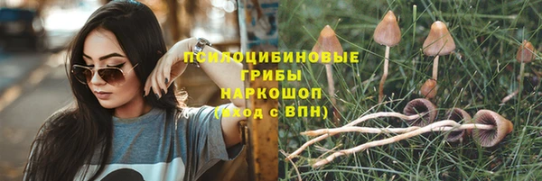 герыч Абаза