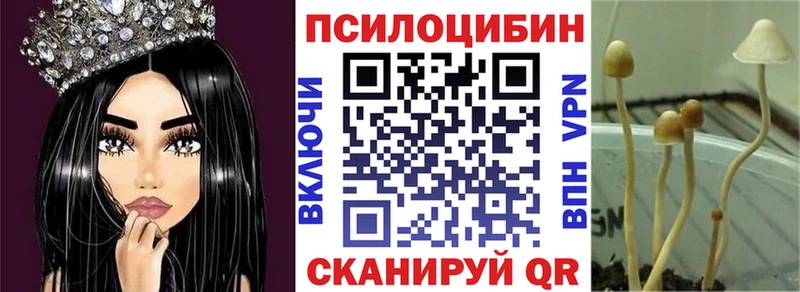 mega ONION  Рыльск  Псилоцибиновые грибы мицелий 